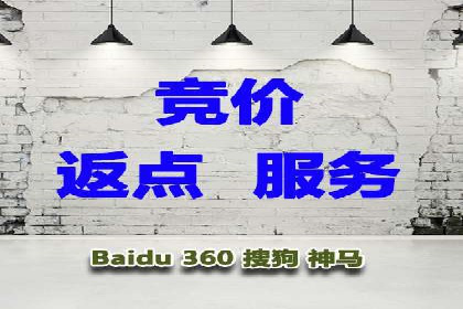 SEM推广实战：案例分析与优化